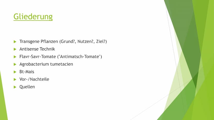 Transgene Pflanzen Gliederung
► Transgene Pflanzen (Grund?, Nutzen?, Ziel?)
Antisense Technik
►Flavr-Savr-Tomate ("Antimatsch-Tomate")
► Agr