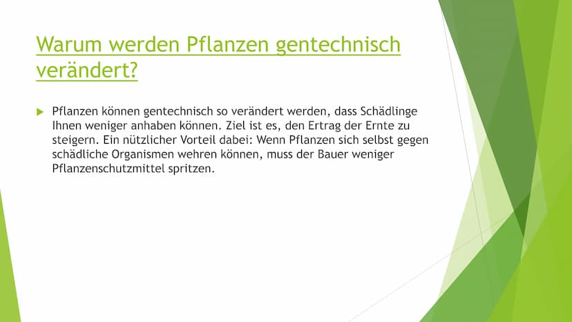 Transgene Pflanzen Gliederung
► Transgene Pflanzen (Grund?, Nutzen?, Ziel?)
Antisense Technik
►Flavr-Savr-Tomate ("Antimatsch-Tomate")
► Agr