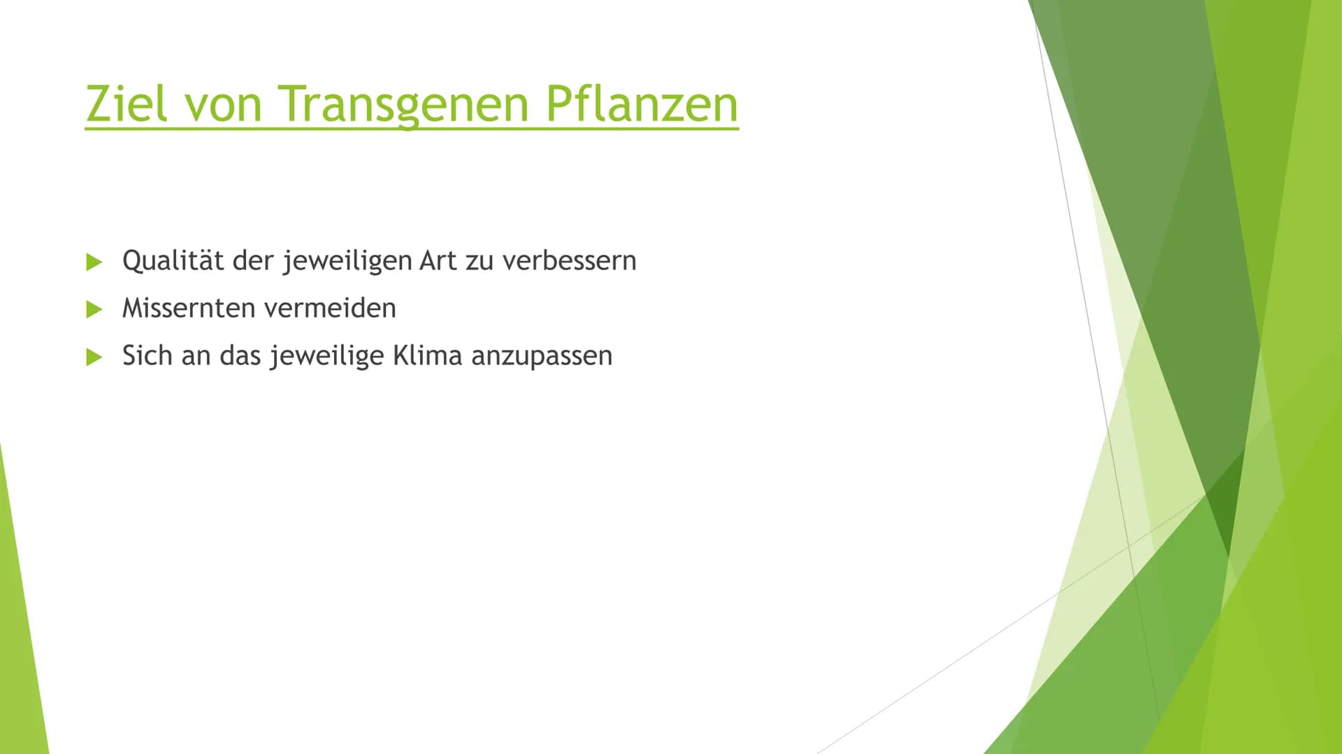 Transgene Pflanzen Gliederung
► Transgene Pflanzen (Grund?, Nutzen?, Ziel?)
Antisense Technik
►Flavr-Savr-Tomate ("Antimatsch-Tomate")
► Agr
