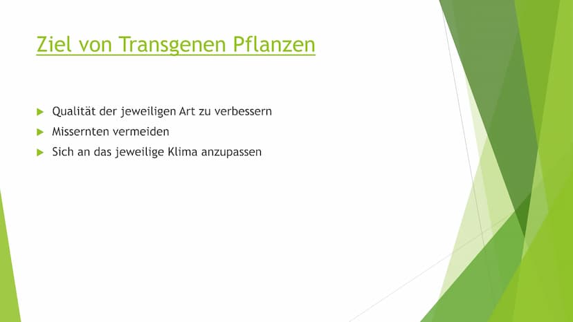 Transgene Pflanzen Gliederung
► Transgene Pflanzen (Grund?, Nutzen?, Ziel?)
Antisense Technik
►Flavr-Savr-Tomate ("Antimatsch-Tomate")
► Agr