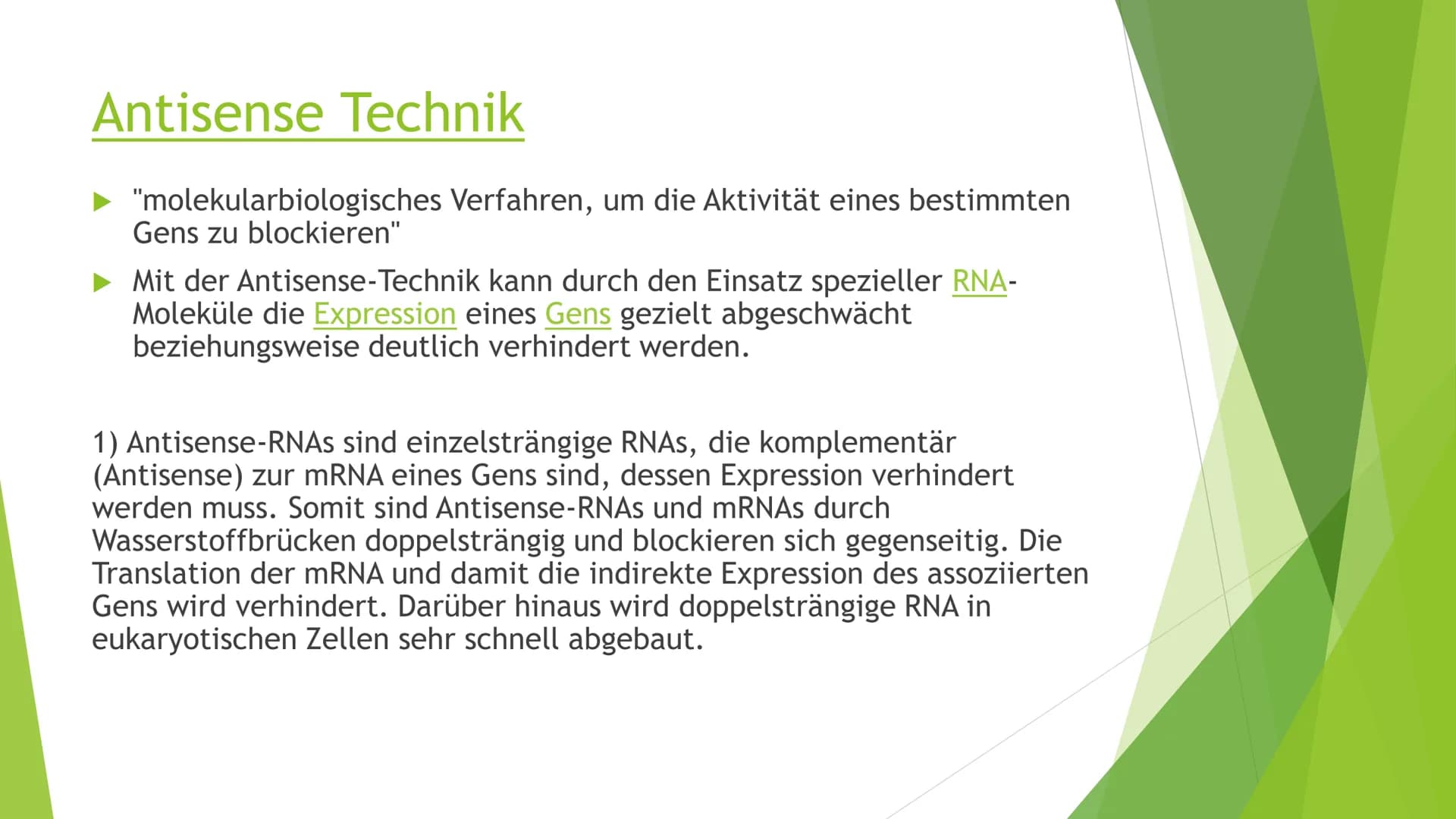 Transgene Pflanzen Gliederung
► Transgene Pflanzen (Grund?, Nutzen?, Ziel?)
Antisense Technik
►Flavr-Savr-Tomate ("Antimatsch-Tomate")
► Agr