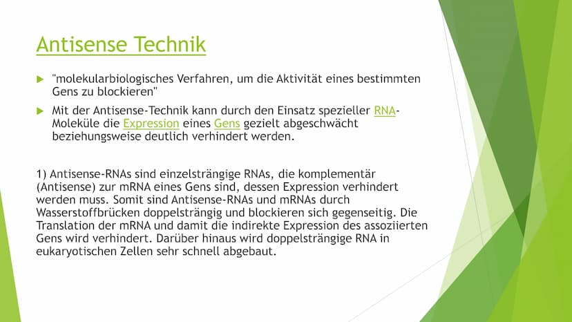 Transgene Pflanzen Gliederung
► Transgene Pflanzen (Grund?, Nutzen?, Ziel?)
Antisense Technik
►Flavr-Savr-Tomate ("Antimatsch-Tomate")
► Agr