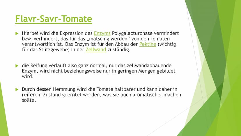 Transgene Pflanzen Gliederung
► Transgene Pflanzen (Grund?, Nutzen?, Ziel?)
Antisense Technik
►Flavr-Savr-Tomate ("Antimatsch-Tomate")
► Agr