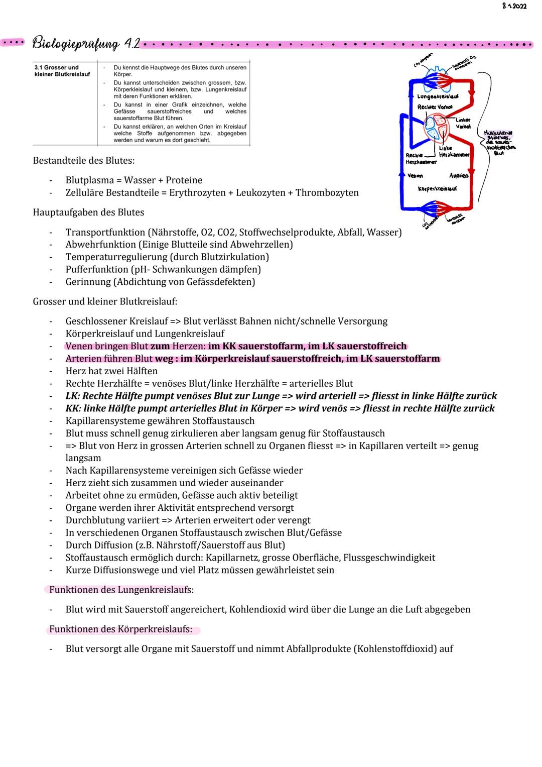 .... Biologieprüfung 4.2..

3.1 Grosser und
kleiner Blutkreislauf

- Du kennst die Hauptwege des Blutes durch unseren
Körper.
- Du kannst un