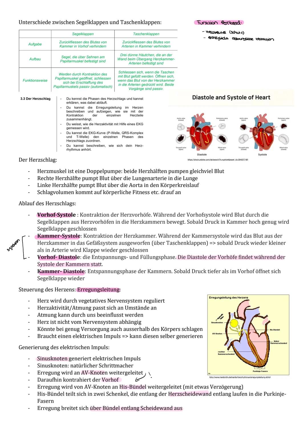 .... Biologieprüfung 4.2..

3.1 Grosser und
kleiner Blutkreislauf

- Du kennst die Hauptwege des Blutes durch unseren
Körper.
- Du kannst un