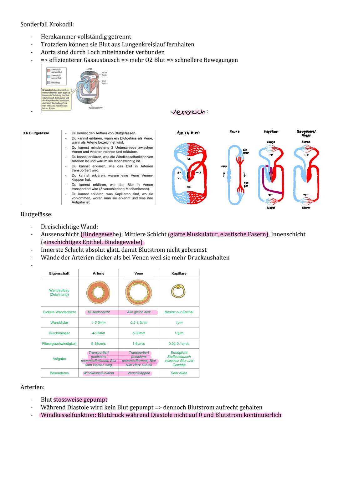 .... Biologieprüfung 4.2..

3.1 Grosser und
kleiner Blutkreislauf

- Du kennst die Hauptwege des Blutes durch unseren
Körper.
- Du kannst un