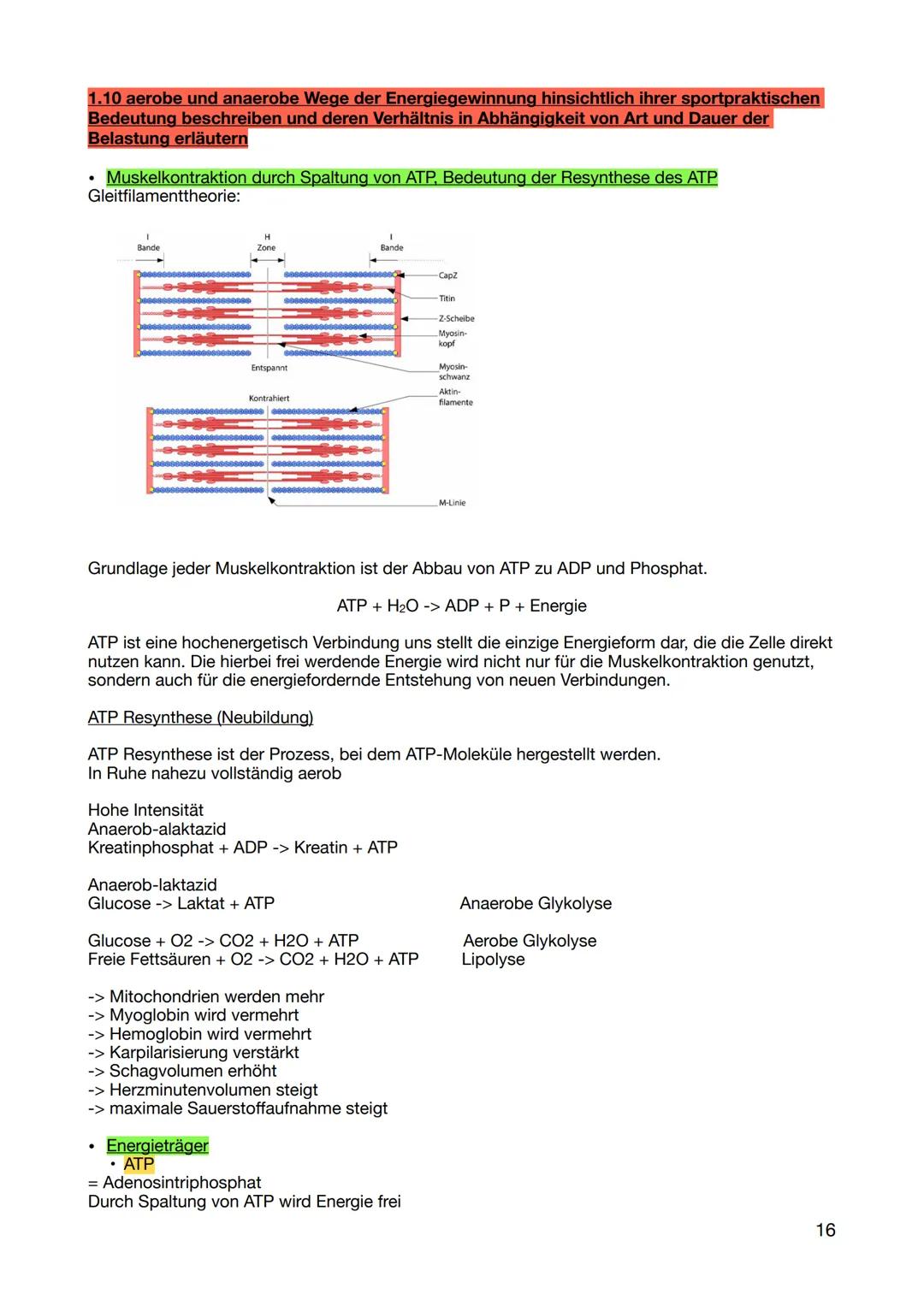 1. Wissen zur Realisierung des eigenen sportlichen Handelns
1.1 sportartenspezifische Grundlagen der unterrichteten Inhaltsbereiche nennen u