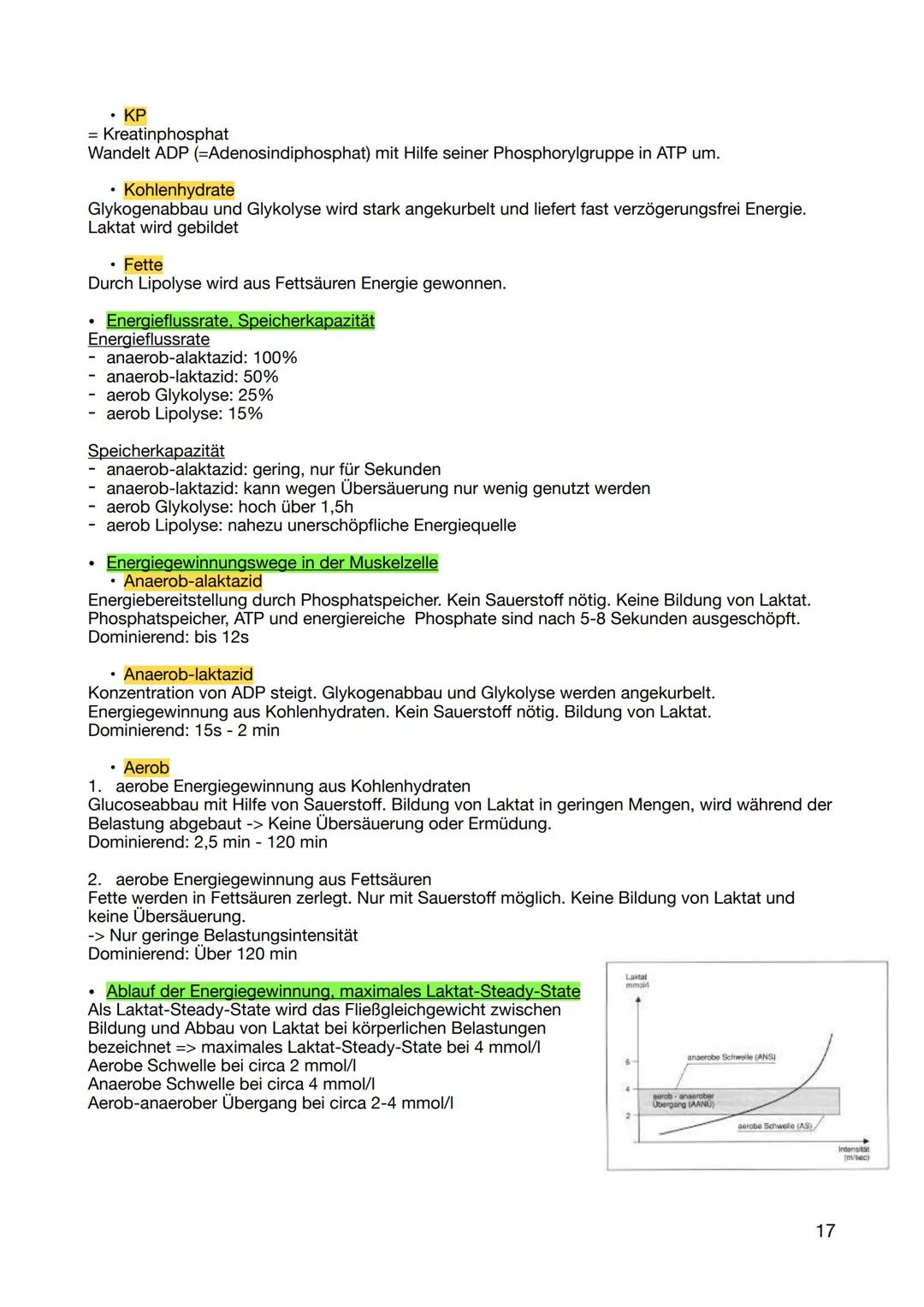 1. Wissen zur Realisierung des eigenen sportlichen Handelns
1.1 sportartenspezifische Grundlagen der unterrichteten Inhaltsbereiche nennen u