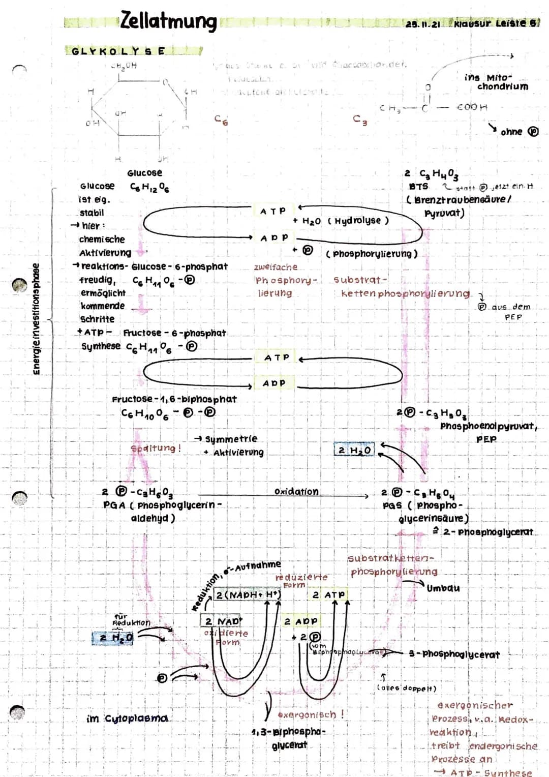 Anabolismus: Reaktionen
Abbau v. chem. Verbindungen
d. Stoffwechsels zum Aufbau v. chem. verbindungen
Energie
katabolismus
INHALTE
• Zellat 