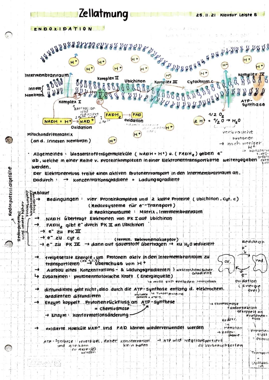 Anabolismus: Reaktionen
Abbau v. chem. Verbindungen
d. Stoffwechsels zum Aufbau v. chem. verbindungen
Energie
katabolismus
INHALTE
• Zellat 
