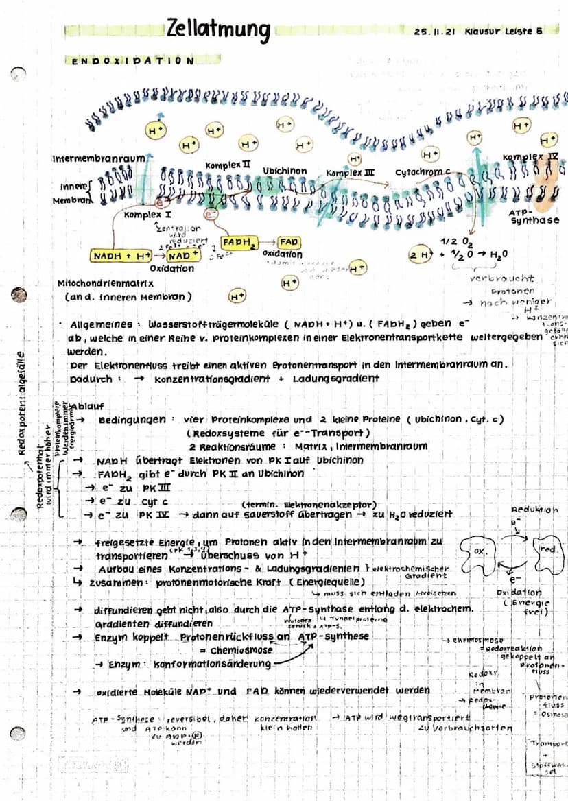 Anabolismus: Reaktionen
Abbau v. chem. Verbindungen
d. Stoffwechsels zum Aufbau v. chem. verbindungen
Energie
katabolismus
INHALTE
• Zellat 