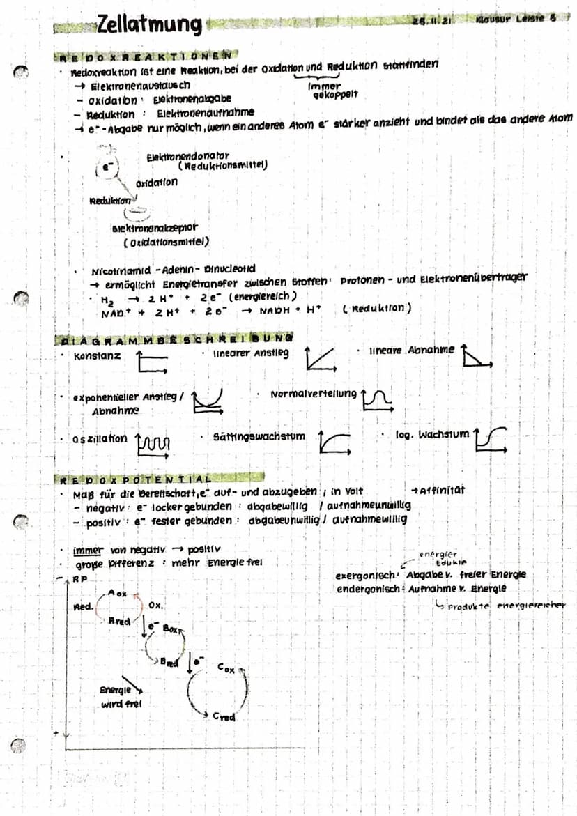 Anabolismus: Reaktionen
Abbau v. chem. Verbindungen
d. Stoffwechsels zum Aufbau v. chem. verbindungen
Energie
katabolismus
INHALTE
• Zellat 