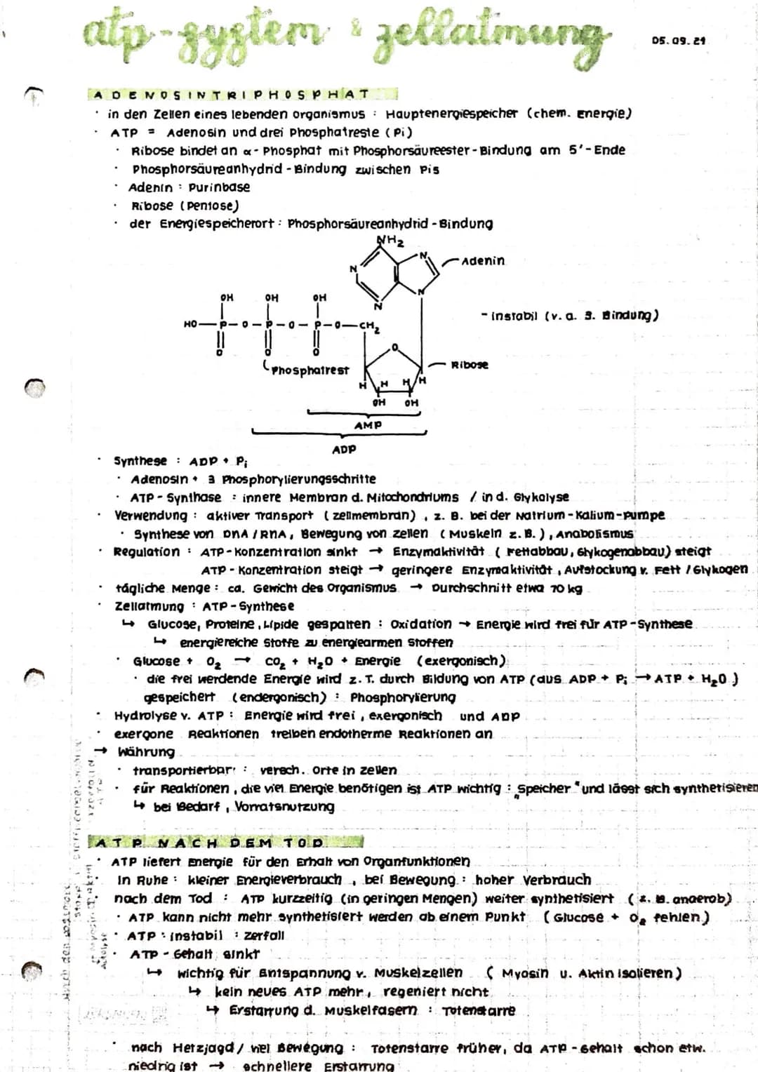 Anabolismus: Reaktionen
Abbau v. chem. Verbindungen
d. Stoffwechsels zum Aufbau v. chem. verbindungen
Energie
katabolismus
INHALTE
• Zellat 