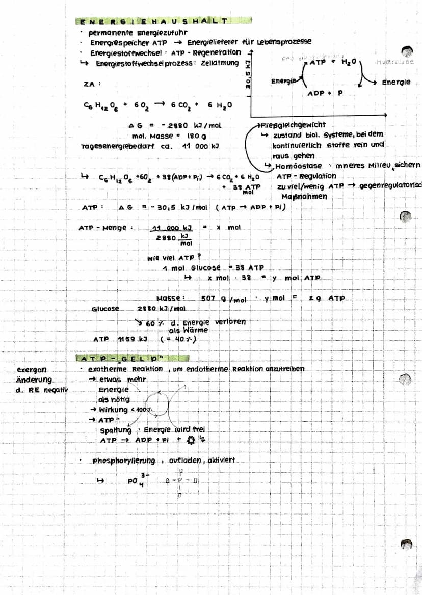Anabolismus: Reaktionen
Abbau v. chem. Verbindungen
d. Stoffwechsels zum Aufbau v. chem. verbindungen
Energie
katabolismus
INHALTE
• Zellat 