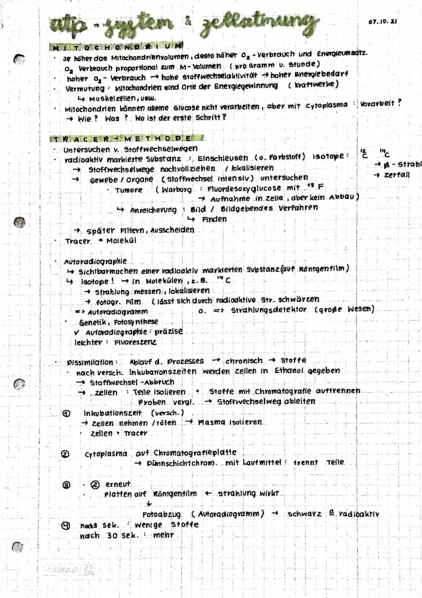 Anabolismus: Reaktionen
Abbau v. chem. Verbindungen
d. Stoffwechsels zum Aufbau v. chem. verbindungen
Energie
katabolismus
INHALTE
• Zellat 