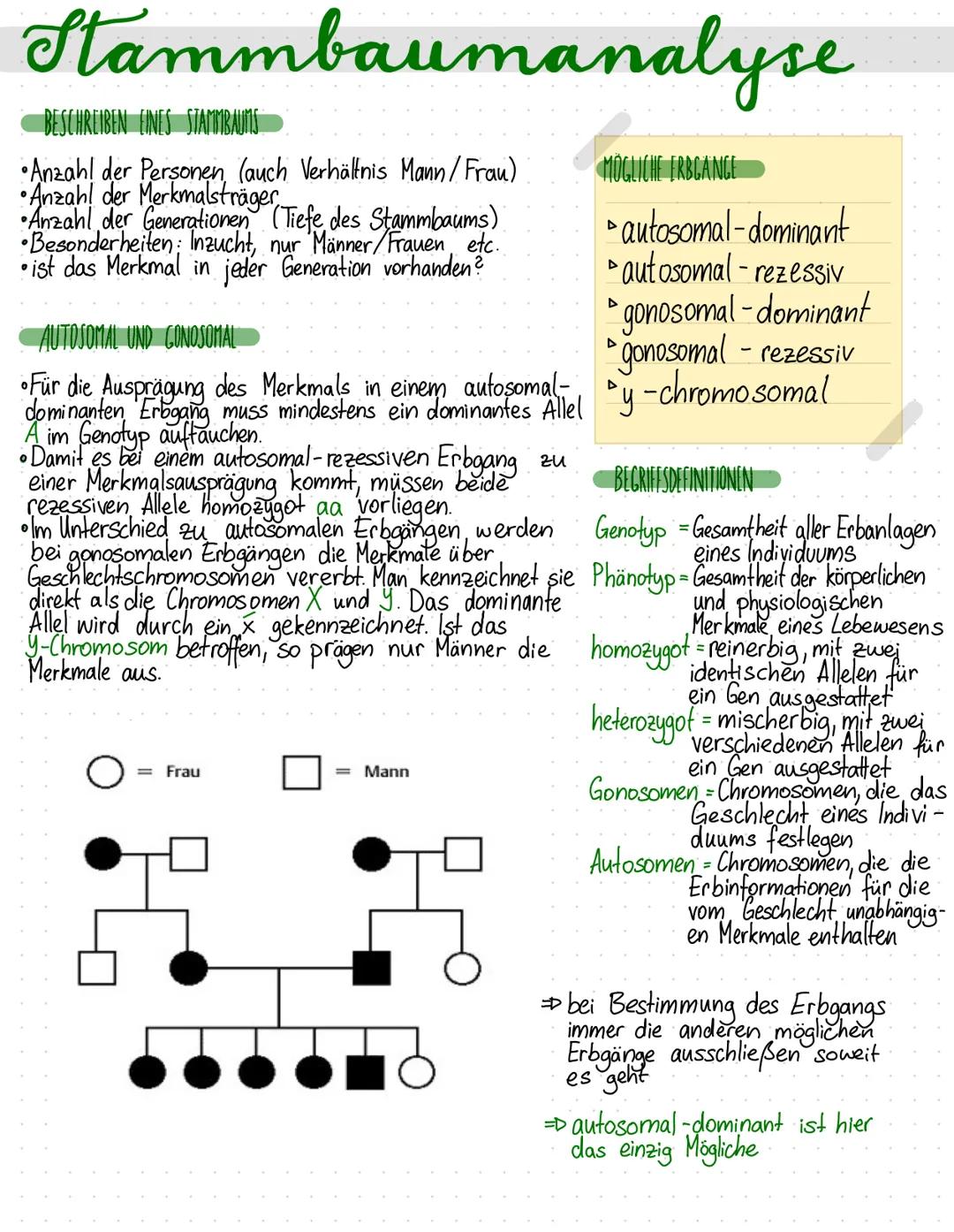 Stammbaumanalyse
BESCHREIBEN EINES STAMMBAUMS
•Anzahl der Personen, (auch Verhältnis Mann/Frau)
•Anzahl der Merkmalsträger
•Anzahl der Gener