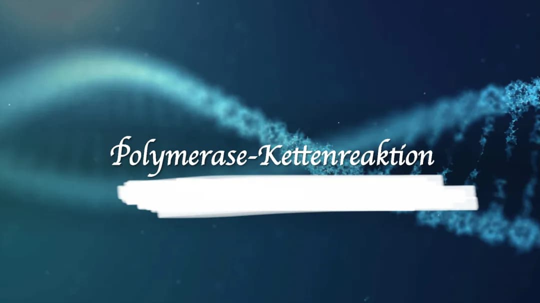PCR