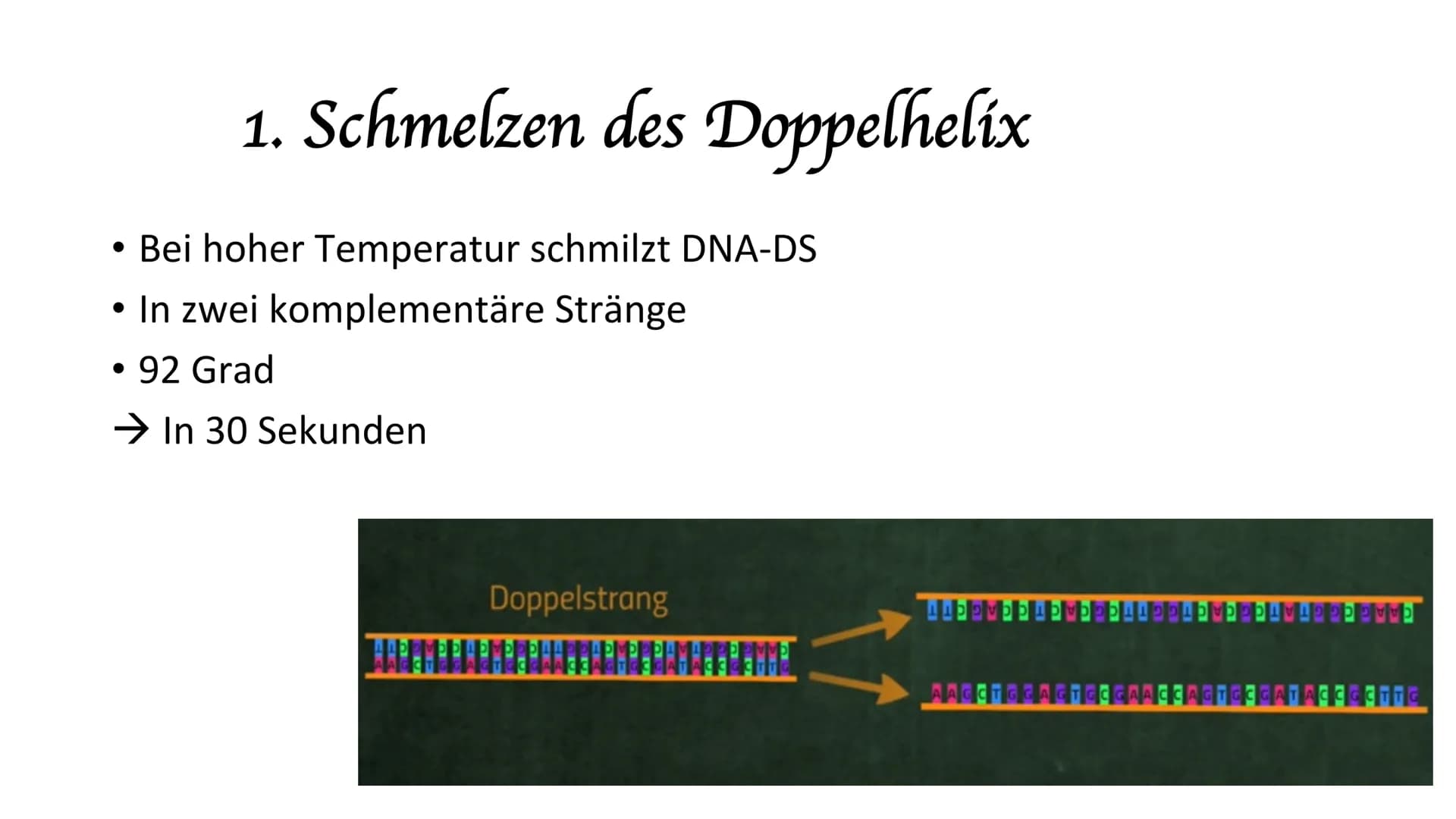 Polymerase-Kettenreaktion PCR
Polymerase Chain Reaktion
Polymerase-Kettenreaktion.
• 1983 von Kary Mullis entwickelt
●
• die Entwicklung war