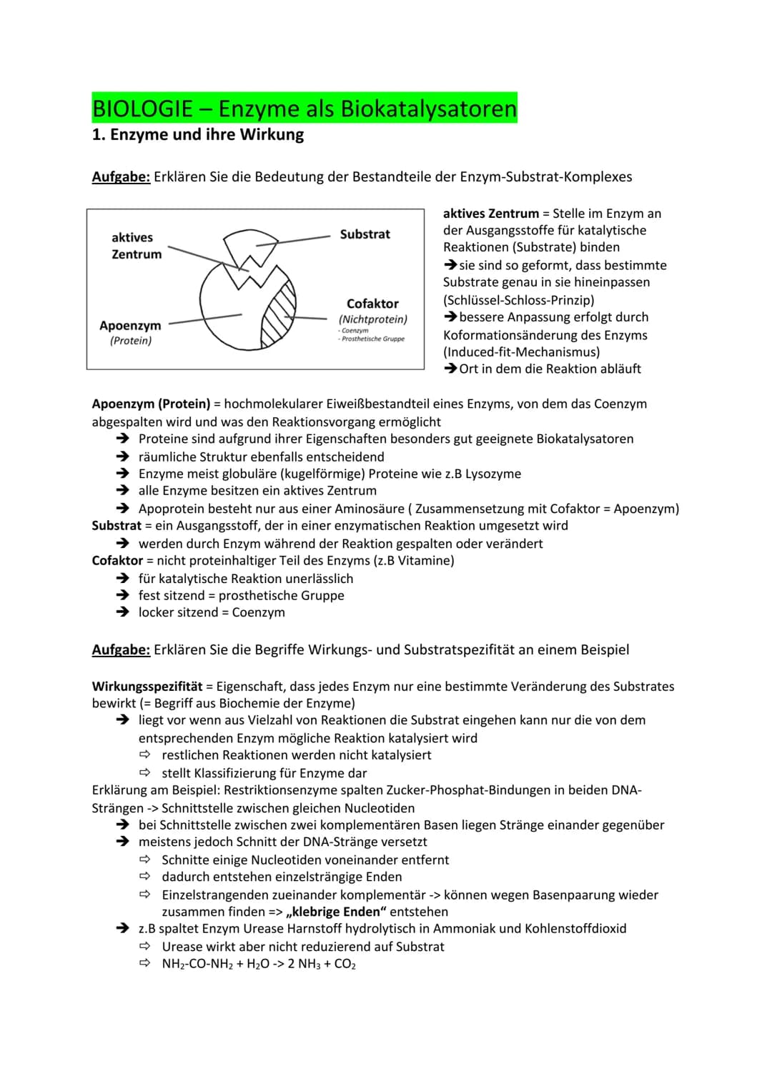 BIOLOGIE - Enzyme als Biokatalysatoren
1. Enzyme und ihre Wirkung
Aufgabe: Erklären Sie die Bedeutung der Bestandteile der Enzym-Substrat-Ko