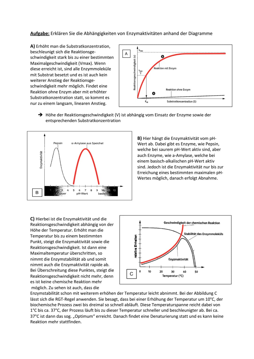 BIOLOGIE - Enzyme als Biokatalysatoren
1. Enzyme und ihre Wirkung
Aufgabe: Erklären Sie die Bedeutung der Bestandteile der Enzym-Substrat-Ko