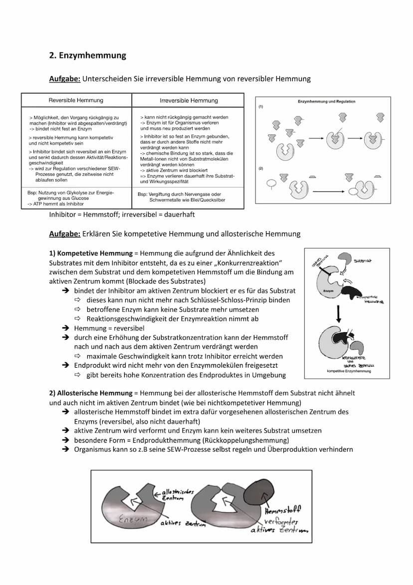 BIOLOGIE - Enzyme als Biokatalysatoren
1. Enzyme und ihre Wirkung
Aufgabe: Erklären Sie die Bedeutung der Bestandteile der Enzym-Substrat-Ko