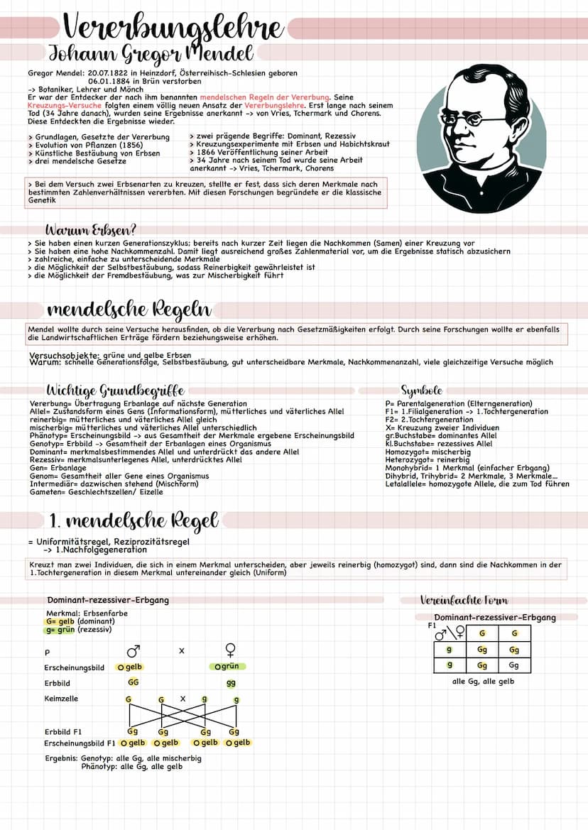 Vererbungslehre
Johann Gregor Mendel
Gregor Mendel: 20.07.1822 in Heinzdorf, Österreihisch-Schlesien geboren
06.01.1884 in Brün verstorben
-