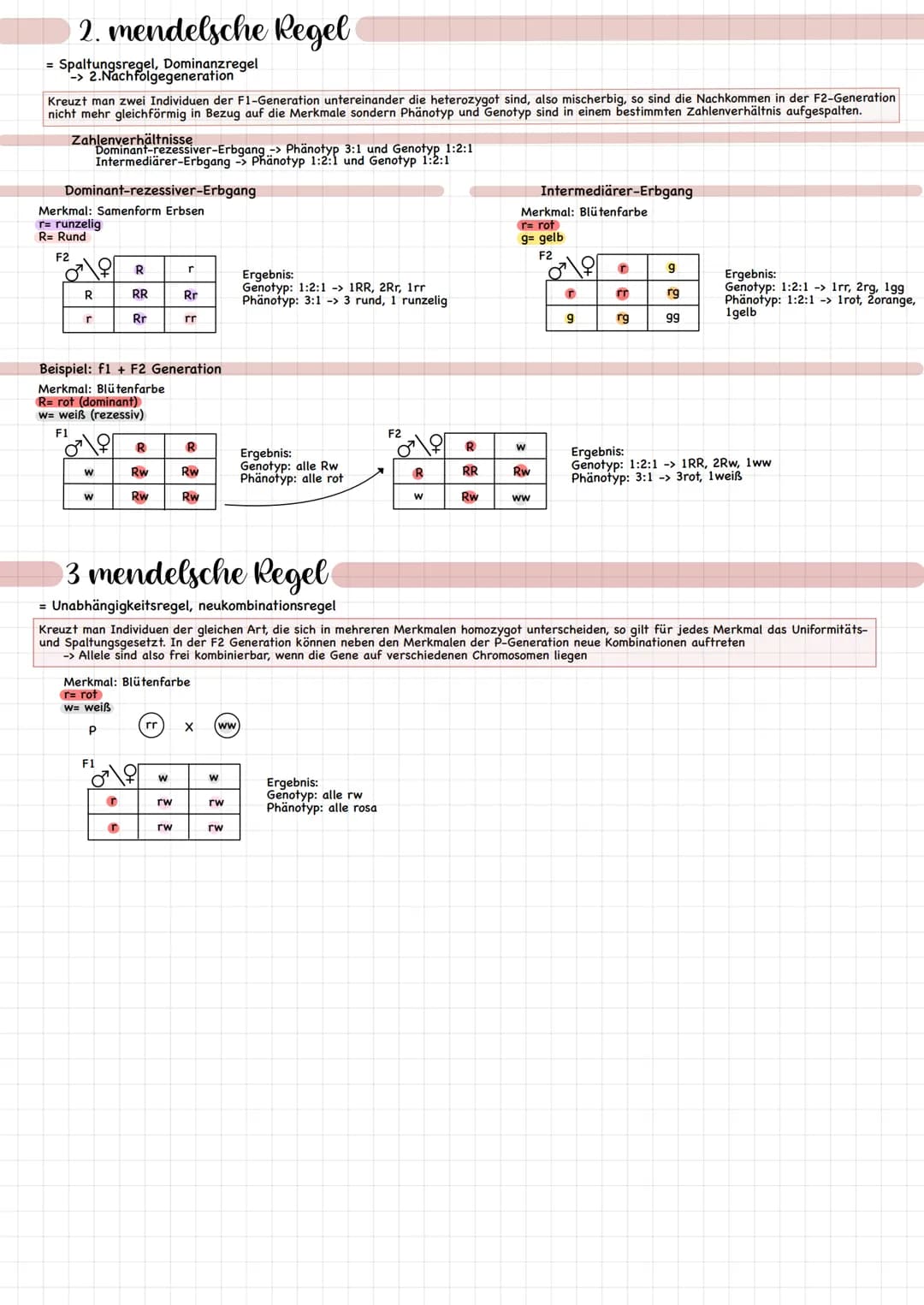 Vererbungslehre
Johann Gregor Mendel
Gregor Mendel: 20.07.1822 in Heinzdorf, Österreihisch-Schlesien geboren
06.01.1884 in Brün verstorben
-