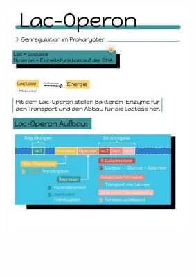 Know Lac-Operon  thumbnail