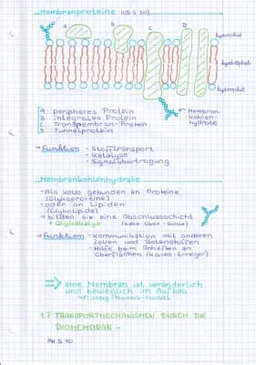 Know Biomembran (Membranproteine & Membrankohlenhydrate) thumbnail