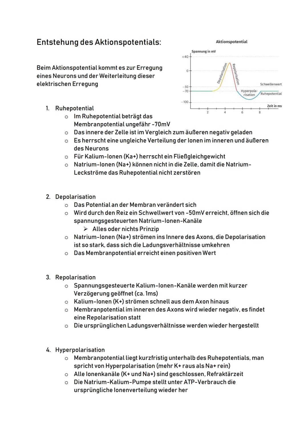 Aufbau eines Neurons:
Zellkörper
(Soma)
Zellkern
Zellkörper:
Dendriten:
00
Dendriten
o Auch Soma genannt
O
Zentrum der Zelle
O
Enthält Zellk