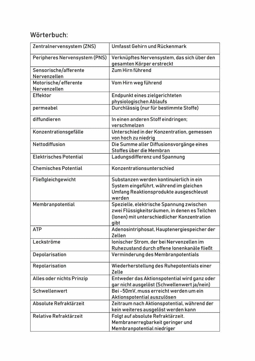 Aufbau eines Neurons:
Zellkörper
(Soma)
Zellkern
Zellkörper:
Dendriten:
00
Dendriten
o Auch Soma genannt
O
Zentrum der Zelle
O
Enthält Zellk