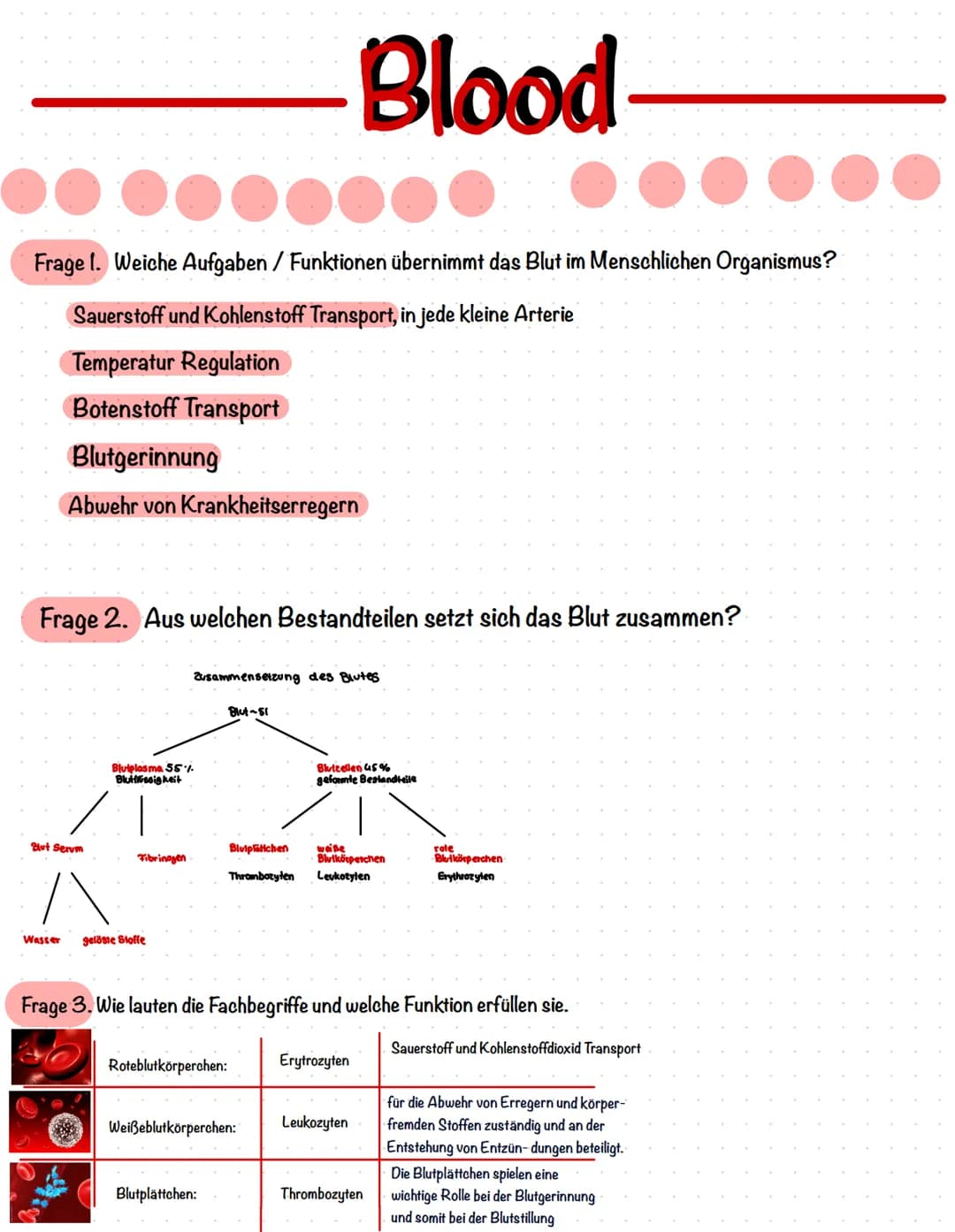 Bestandteile des Blutes
Blutplättchen
(Thrombozyten)
●●●●●
Rote Blutkörperchen
(Erythrozyten)
Blutplasma
(Blutflüssigkeit)
Weiße Blutkörperc