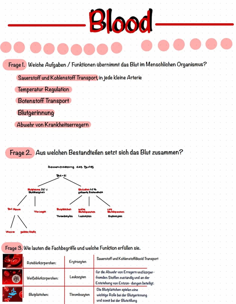 Bestandteile des Blutes
Blutplättchen
(Thrombozyten)
●●●●●
Rote Blutkörperchen
(Erythrozyten)
Blutplasma
(Blutflüssigkeit)
Weiße Blutkörperc