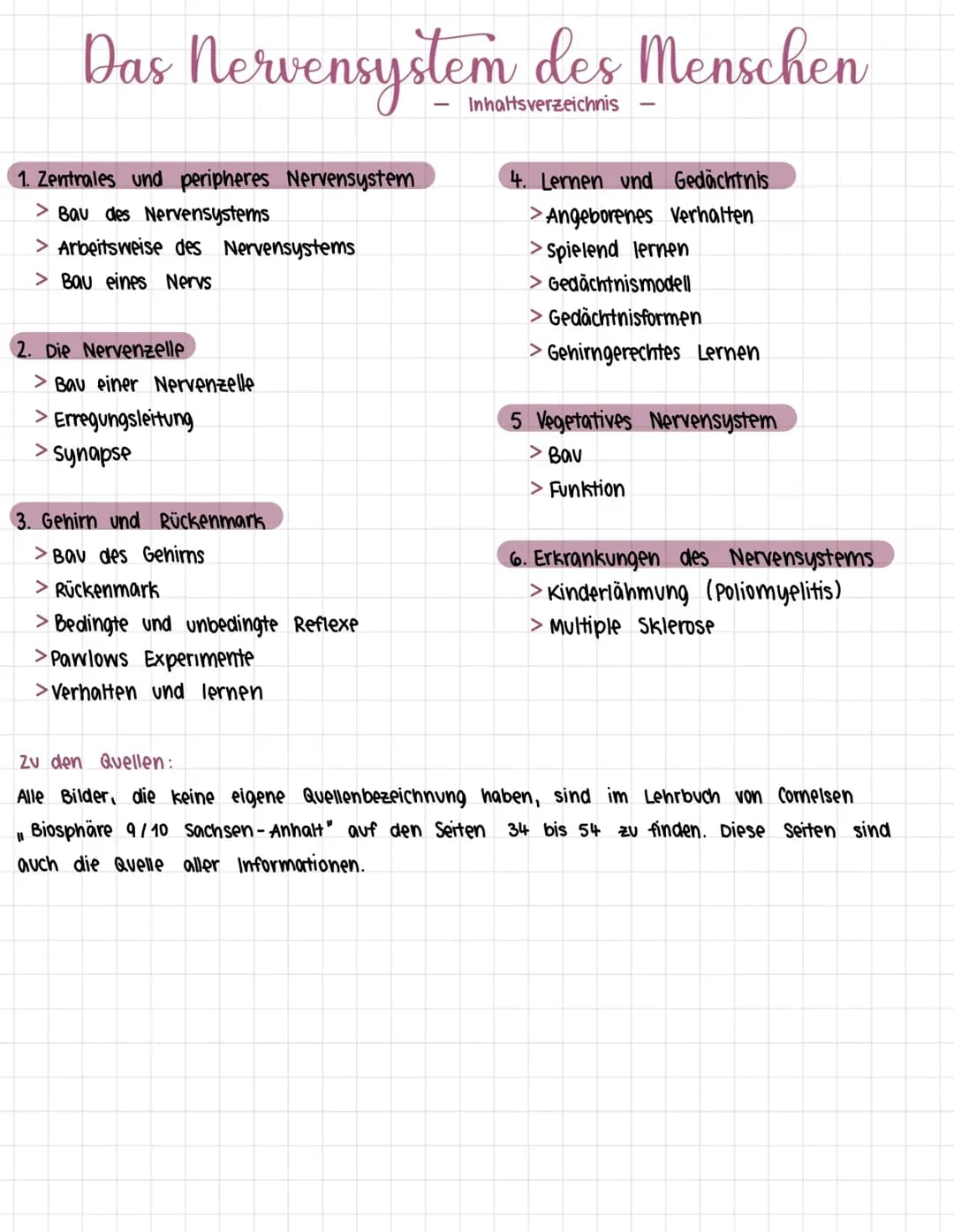 Das Nervensystem des Menschen 