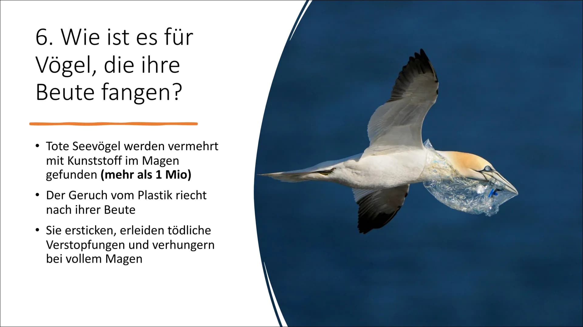 1
5
Ozeane versinken im
Plastikmüll
7 222
7 Gliederung
1.
Wie kommt das Plastik in die Ozeane?
2.
Wie viel Müll sammelt sich in den Ozeanen 