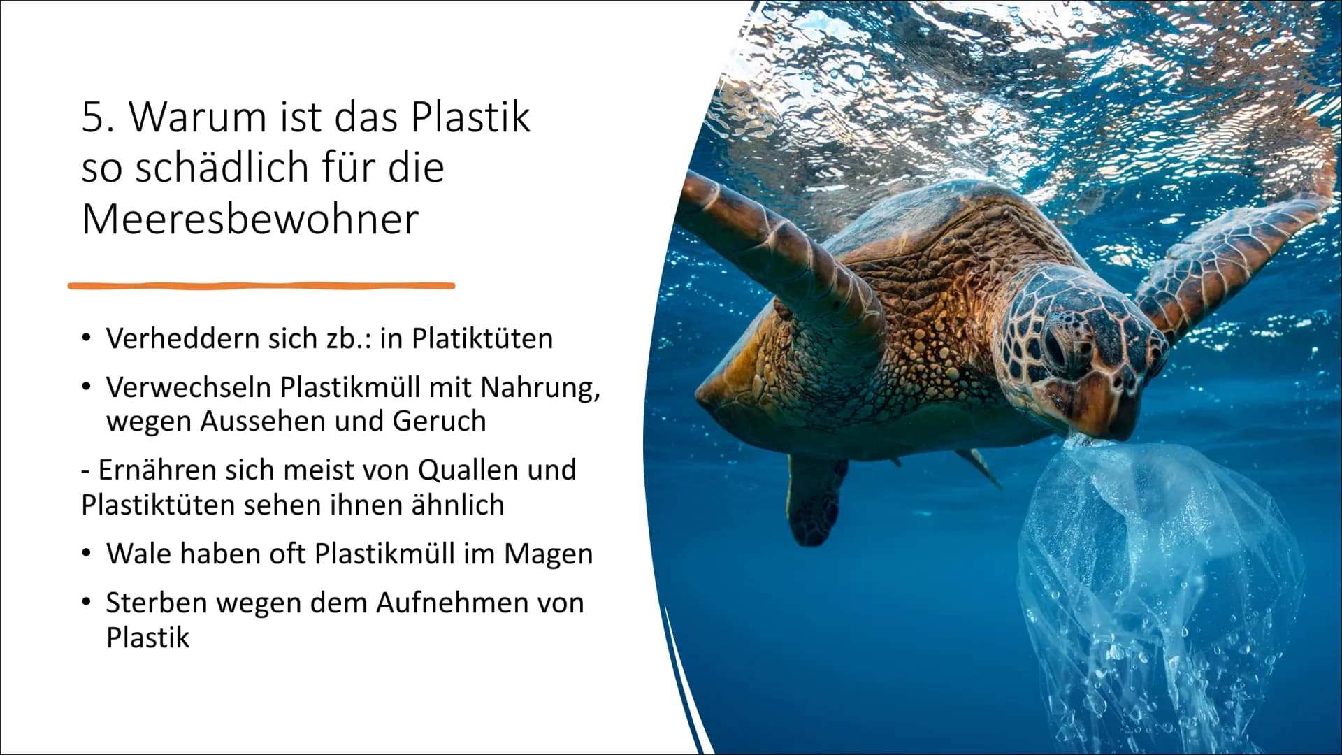 1
5
Ozeane versinken im
Plastikmüll
7 222
7 Gliederung
1.
Wie kommt das Plastik in die Ozeane?
2.
Wie viel Müll sammelt sich in den Ozeanen 