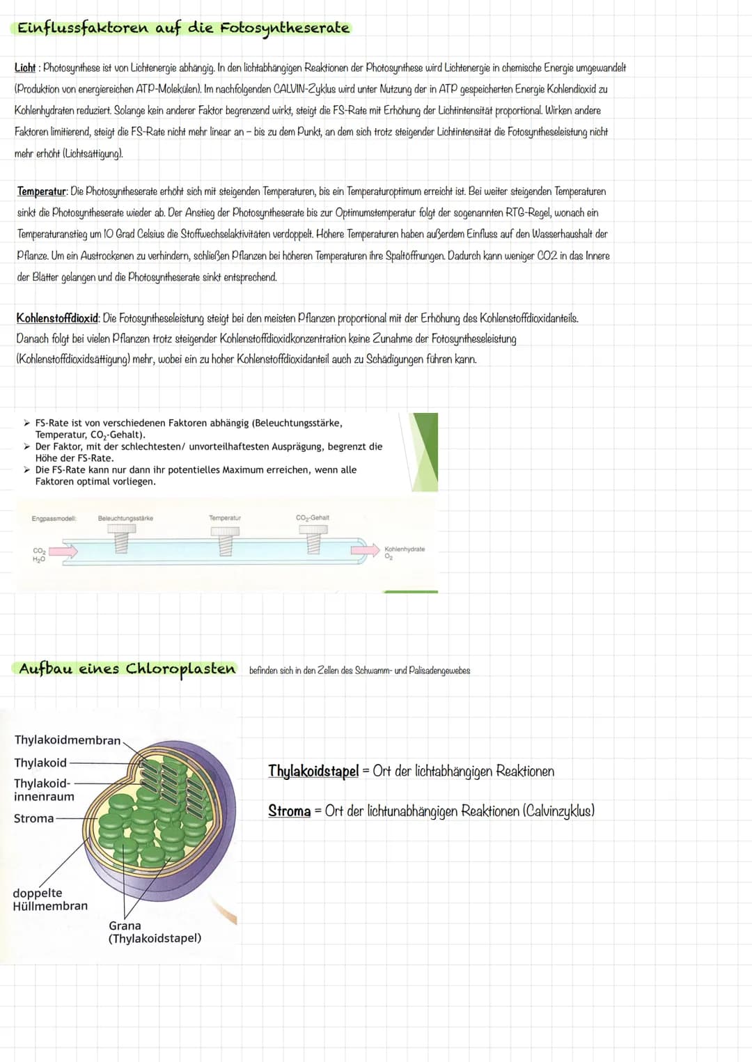 VORBEREITUNG
KLAUSUR
Aufbau Laubblatt
2
4
1 Cuticula
Obere
Epidermis
5
Festigungsgewebe
6
Chloroplast
7
Bauteil
Schwamm-
gewebe
Xylem
Phloem