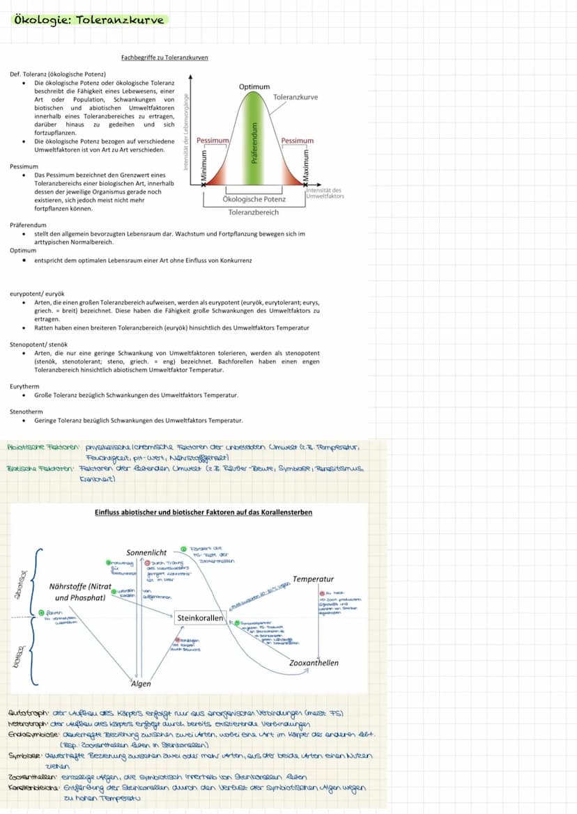 VORBEREITUNG
KLAUSUR
Aufbau Laubblatt
2
4
1 Cuticula
Obere
Epidermis
5
Festigungsgewebe
6
Chloroplast
7
Bauteil
Schwamm-
gewebe
Xylem
Phloem