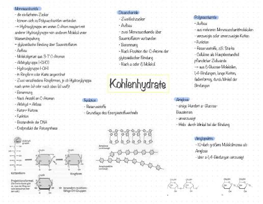 Know Kohlenhydrate  thumbnail