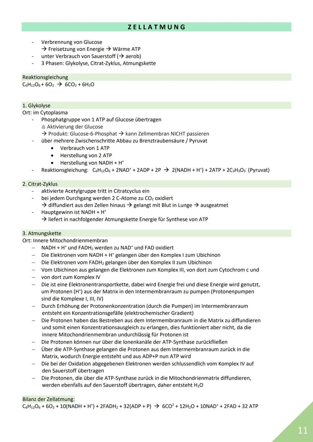 BIOLOGIE Abitur 2021
Themen:
1. Stoffwechsel / Zytologie
2. Ökologie
3. Genetik
4. Evolution
5. Neurobiologie
M
1 STOFFWECHSEL / ZYTOLOGIE
P