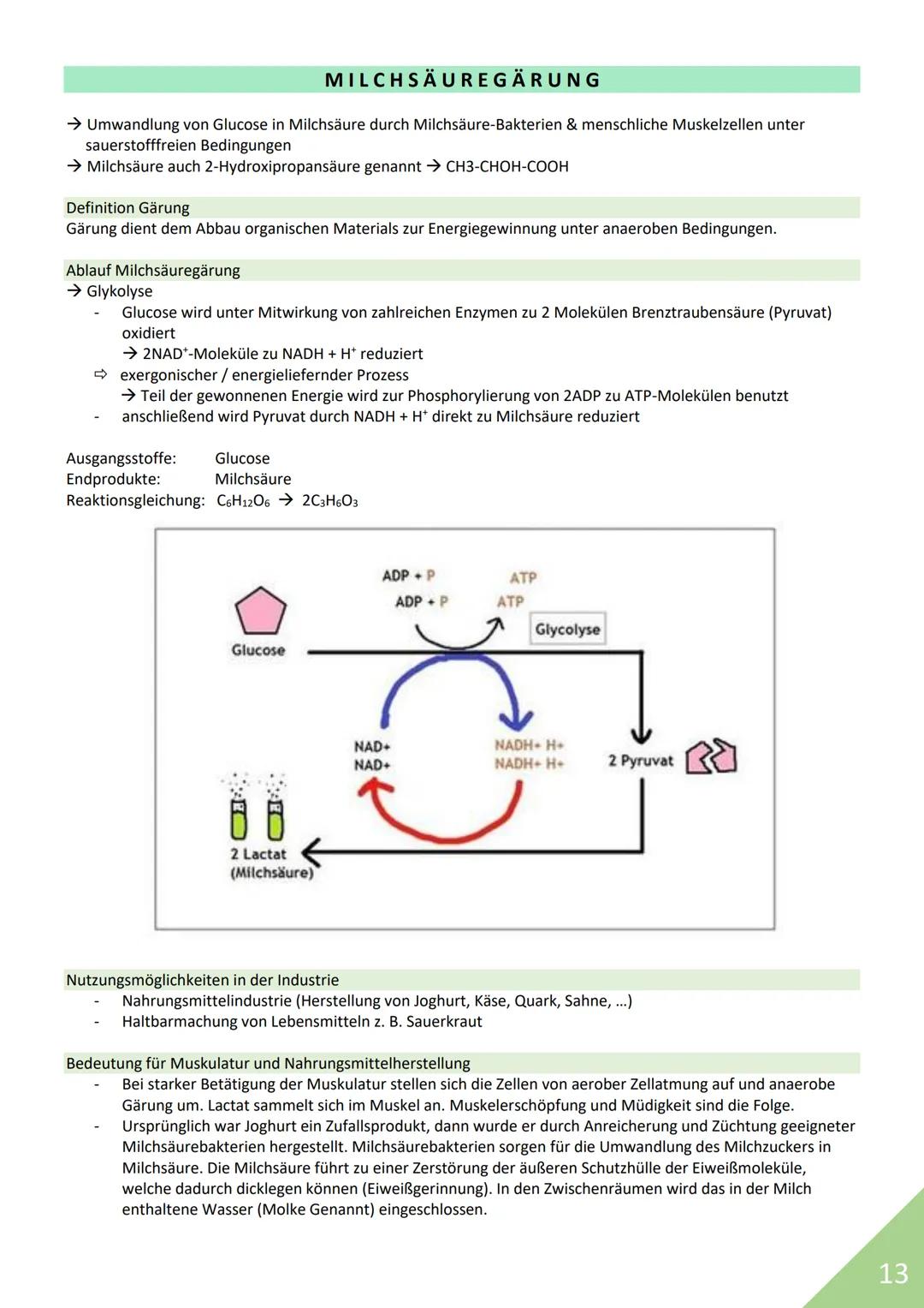 BIOLOGIE Abitur 2021
Themen:
1. Stoffwechsel / Zytologie
2. Ökologie
3. Genetik
4. Evolution
5. Neurobiologie
M
1 STOFFWECHSEL / ZYTOLOGIE
P