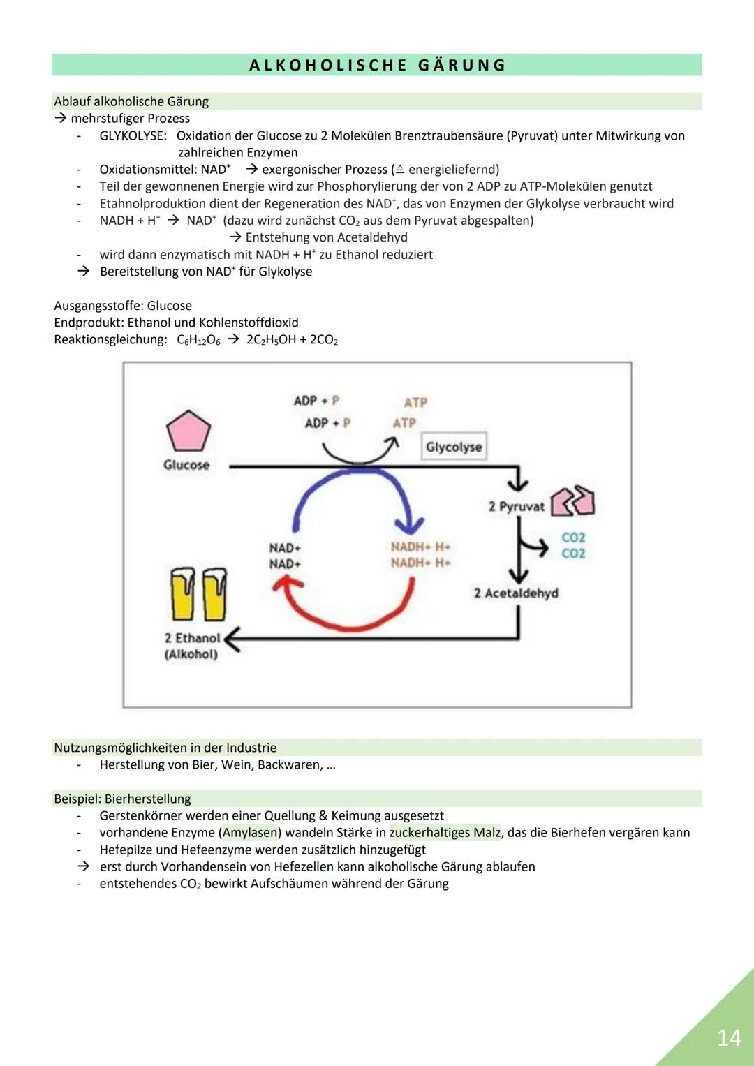 BIOLOGIE Abitur 2021
Themen:
1. Stoffwechsel / Zytologie
2. Ökologie
3. Genetik
4. Evolution
5. Neurobiologie
M
1 STOFFWECHSEL / ZYTOLOGIE
P