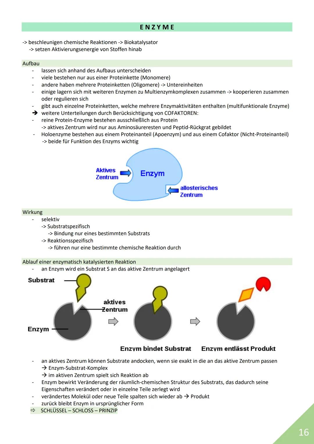 BIOLOGIE Abitur 2021
Themen:
1. Stoffwechsel / Zytologie
2. Ökologie
3. Genetik
4. Evolution
5. Neurobiologie
M
1 STOFFWECHSEL / ZYTOLOGIE
P