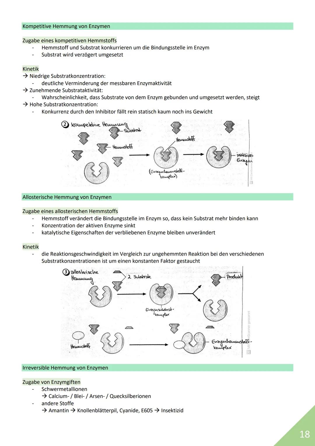 BIOLOGIE Abitur 2021
Themen:
1. Stoffwechsel / Zytologie
2. Ökologie
3. Genetik
4. Evolution
5. Neurobiologie
M
1 STOFFWECHSEL / ZYTOLOGIE
P