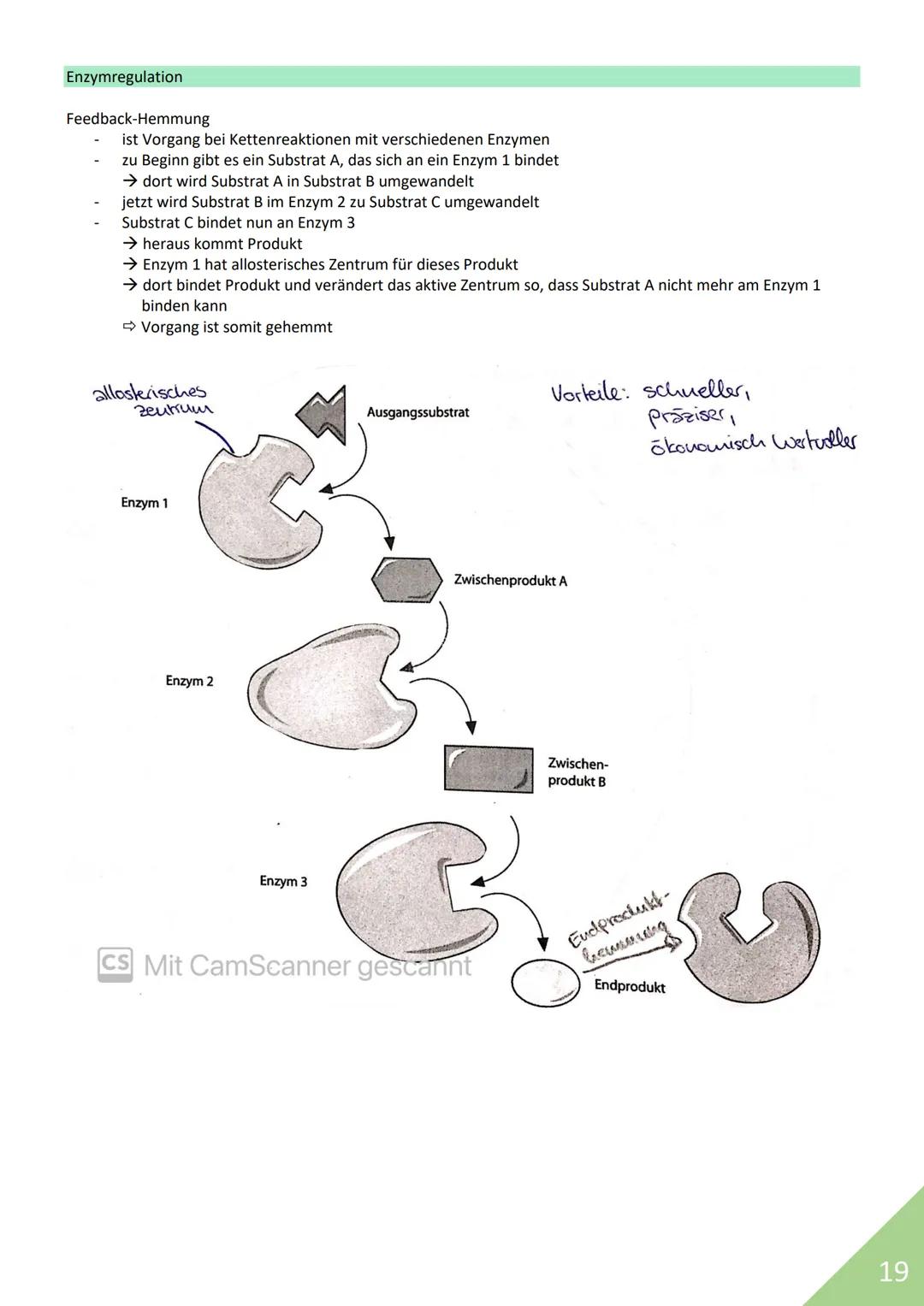 BIOLOGIE Abitur 2021
Themen:
1. Stoffwechsel / Zytologie
2. Ökologie
3. Genetik
4. Evolution
5. Neurobiologie
M
1 STOFFWECHSEL / ZYTOLOGIE
P