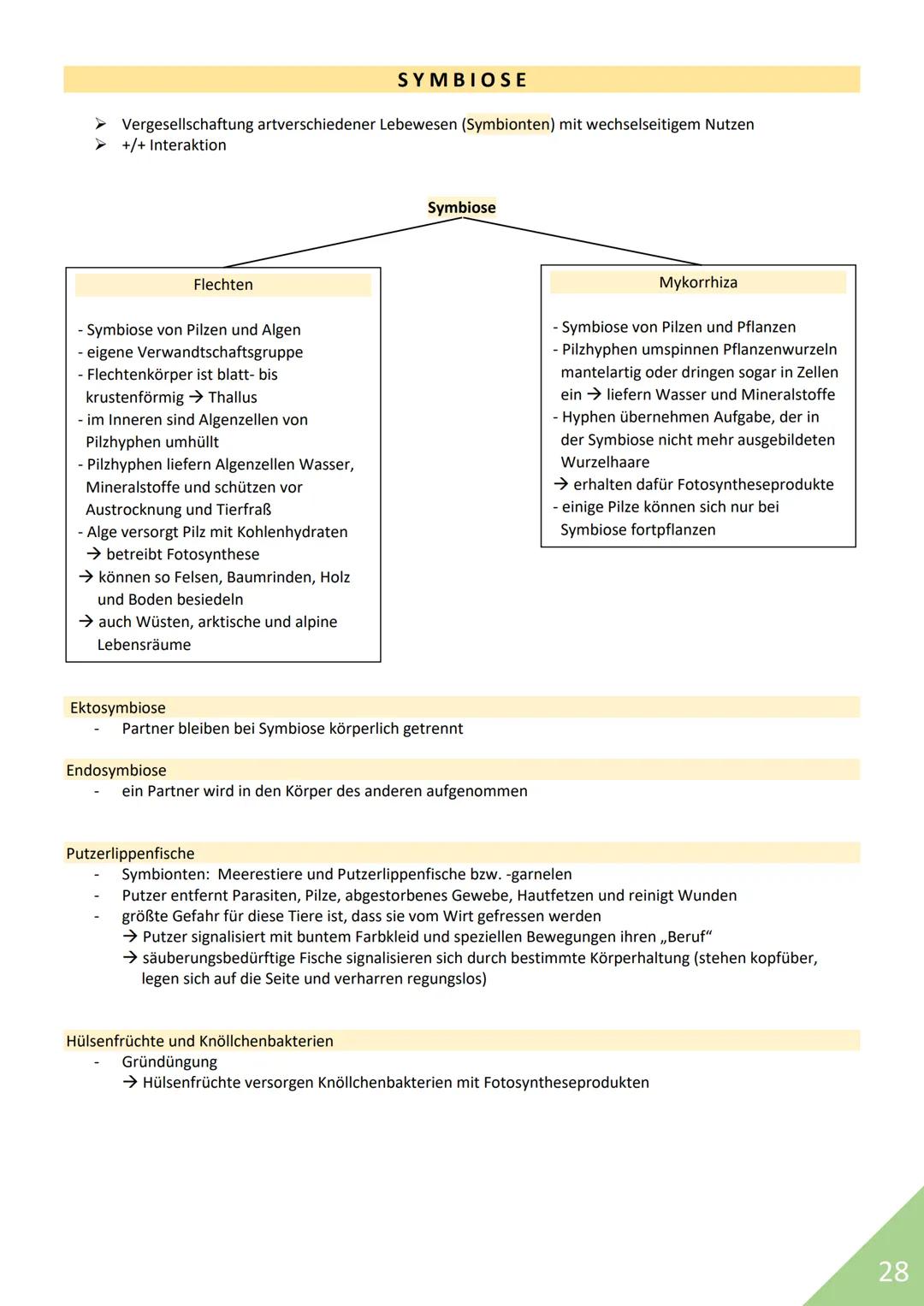 BIOLOGIE Abitur 2021
Themen:
1. Stoffwechsel / Zytologie
2. Ökologie
3. Genetik
4. Evolution
5. Neurobiologie
M
1 STOFFWECHSEL / ZYTOLOGIE
P