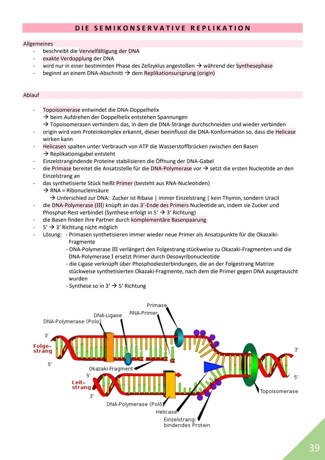 BIOLOGIE Abitur 2021
Themen:
1. Stoffwechsel / Zytologie
2. Ökologie
3. Genetik
4. Evolution
5. Neurobiologie
M
1 STOFFWECHSEL / ZYTOLOGIE
P