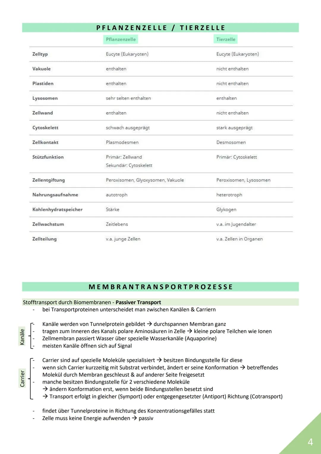 BIOLOGIE Abitur 2021
Themen:
1. Stoffwechsel / Zytologie
2. Ökologie
3. Genetik
4. Evolution
5. Neurobiologie
M
1 STOFFWECHSEL / ZYTOLOGIE
P