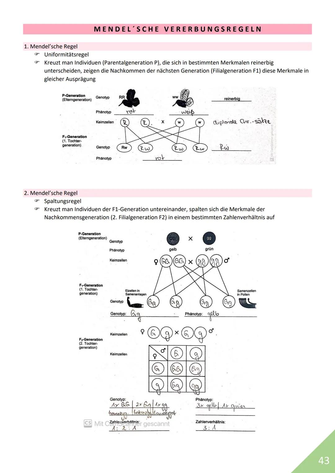 BIOLOGIE Abitur 2021
Themen:
1. Stoffwechsel / Zytologie
2. Ökologie
3. Genetik
4. Evolution
5. Neurobiologie
M
1 STOFFWECHSEL / ZYTOLOGIE
P