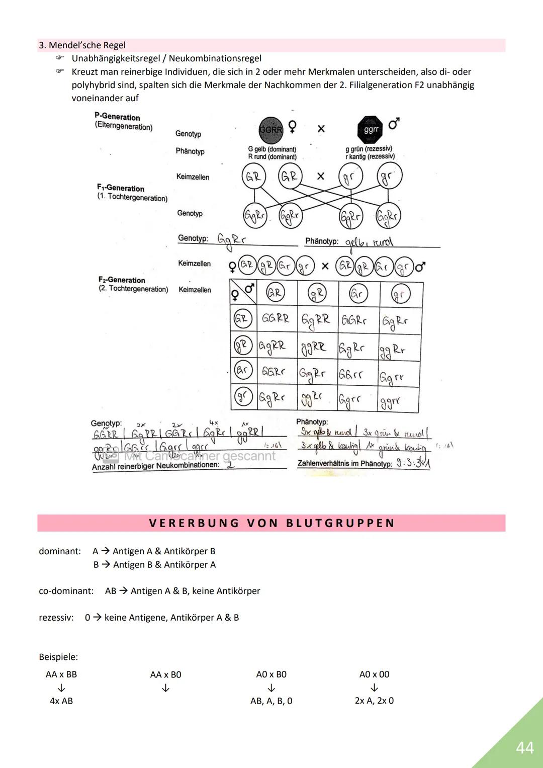 BIOLOGIE Abitur 2021
Themen:
1. Stoffwechsel / Zytologie
2. Ökologie
3. Genetik
4. Evolution
5. Neurobiologie
M
1 STOFFWECHSEL / ZYTOLOGIE
P